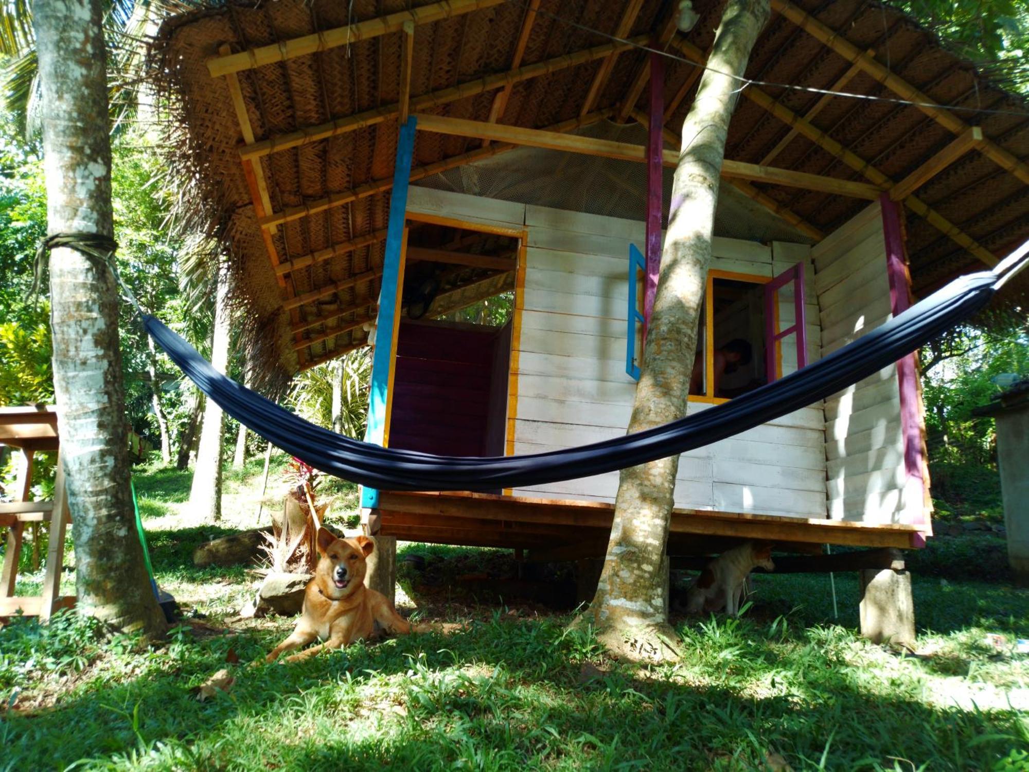 Hidden Well Hiriketiya Hostel Диквела Екстериор снимка