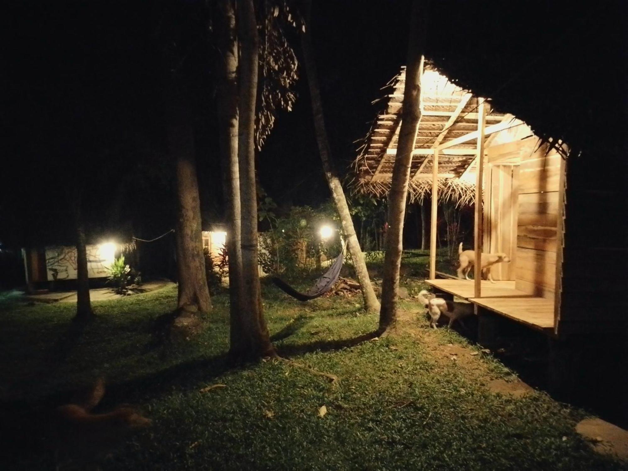Hidden Well Hiriketiya Hostel Диквела Екстериор снимка