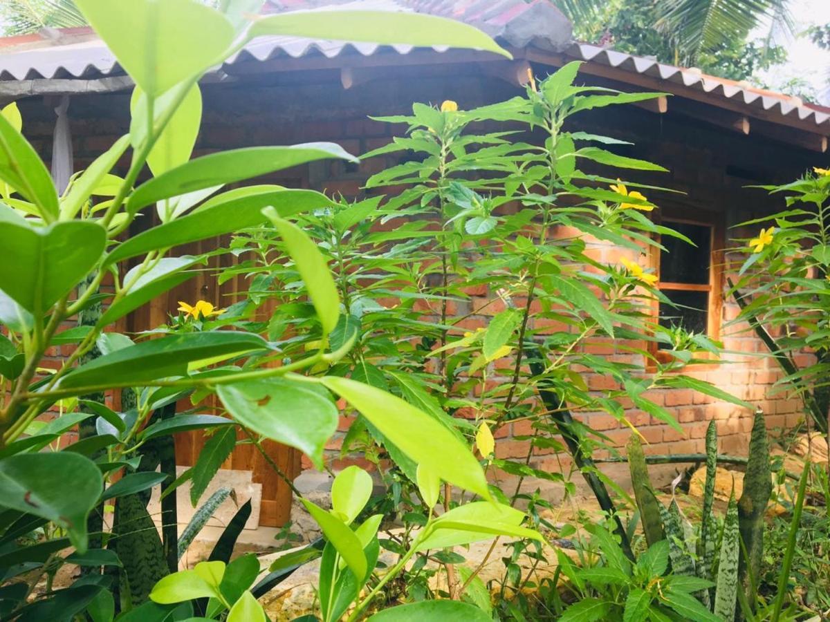 Hidden Well Hiriketiya Hostel Диквела Екстериор снимка